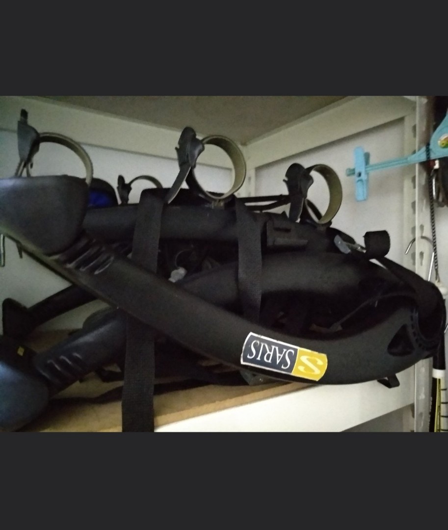 saris bones 2 car compatibility