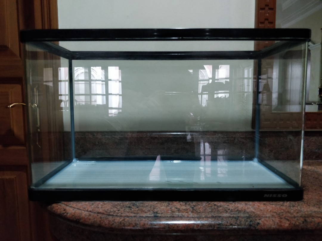 Aquarium Nisso 60cm 57 Liter Perlengkapan Hewan Aksesoris Hewan Di Carousell Harga aquarium fiber 60