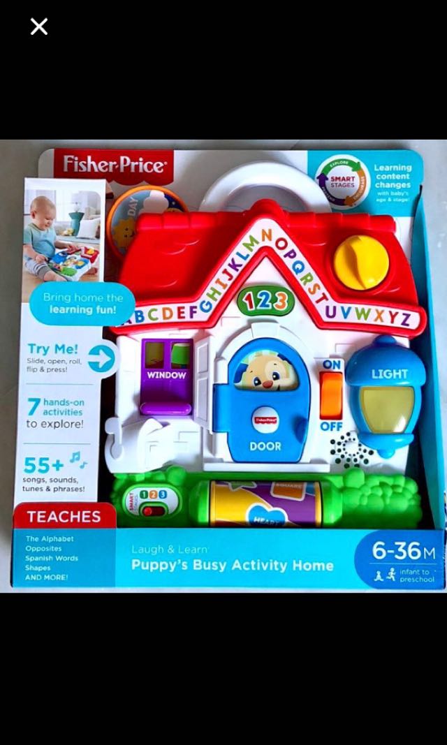 puppy's busy activity home