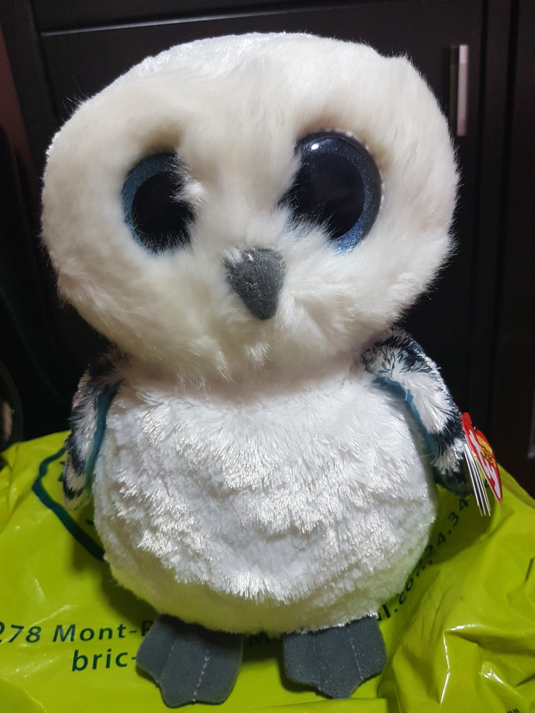 TY Beanie Boos Spells the Snowy Owl *Retired item*, Hobbies Toys