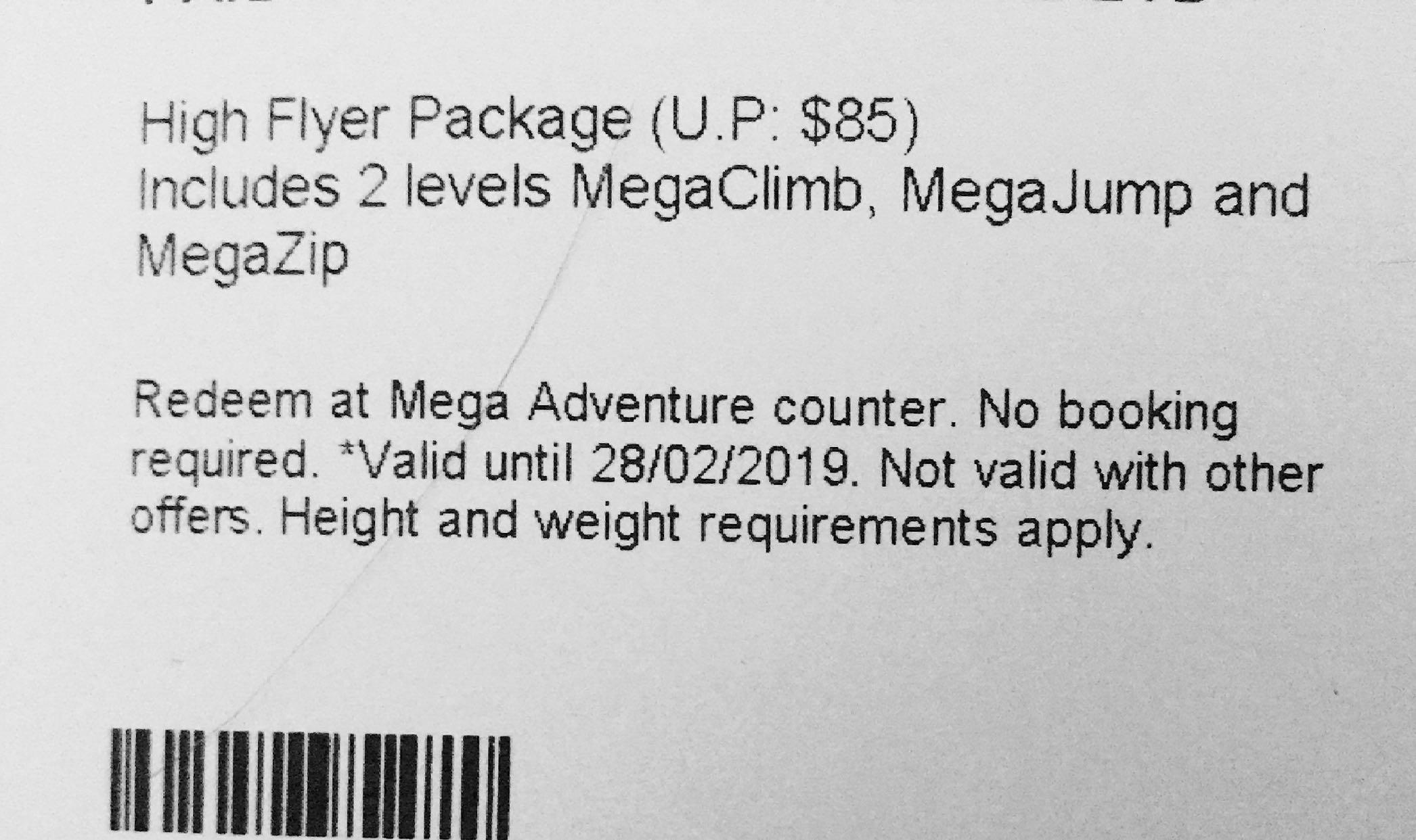 High Flyer Package Mega Adventure Park SIngapore, Tickets & Vouchers