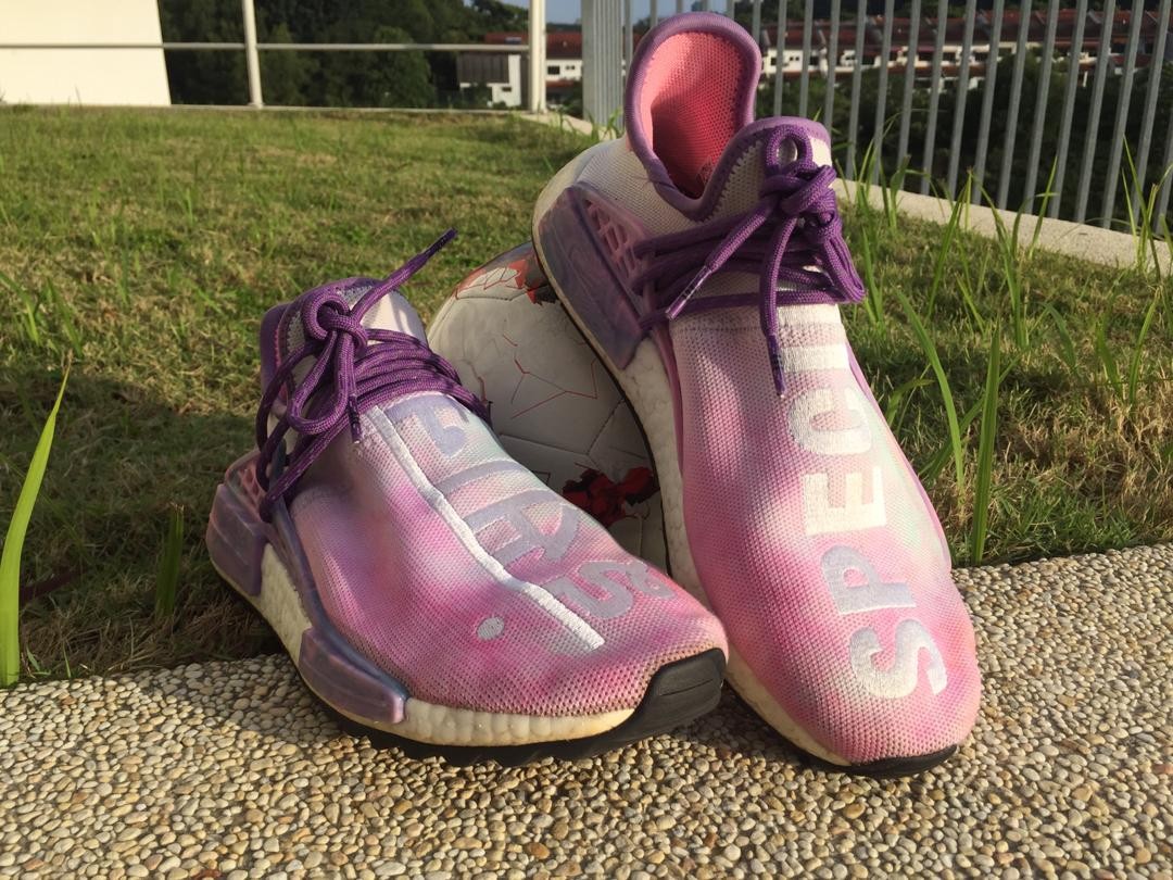 Holi pack cheap human race