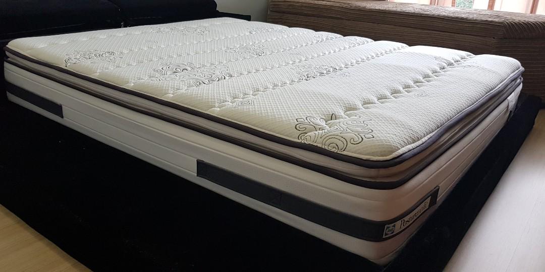 Sealy Orthopaedic Support Cushion Firm Mattress Furniture Beds