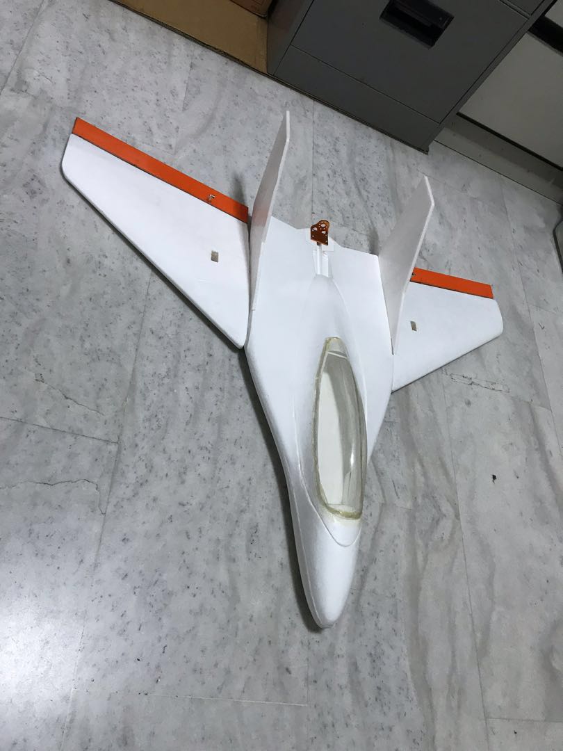 Skyfun Delta Wing RC Plane Hobbies Toys Toys Games on Carousell