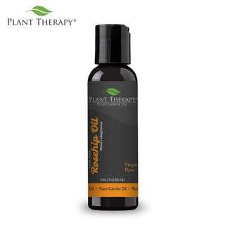 Plant Therapy Rosehip Pure Carrier Oil Extra Virgin 2oz PT Rosehip Extra Virgin 2 oz