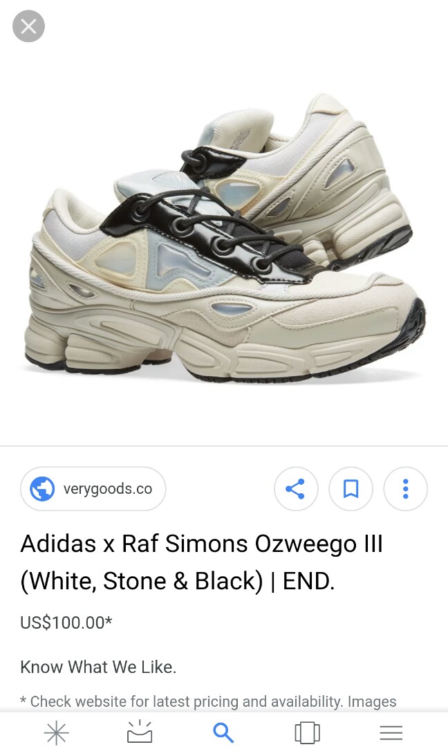 Raf simons x ozweego 3 best sale