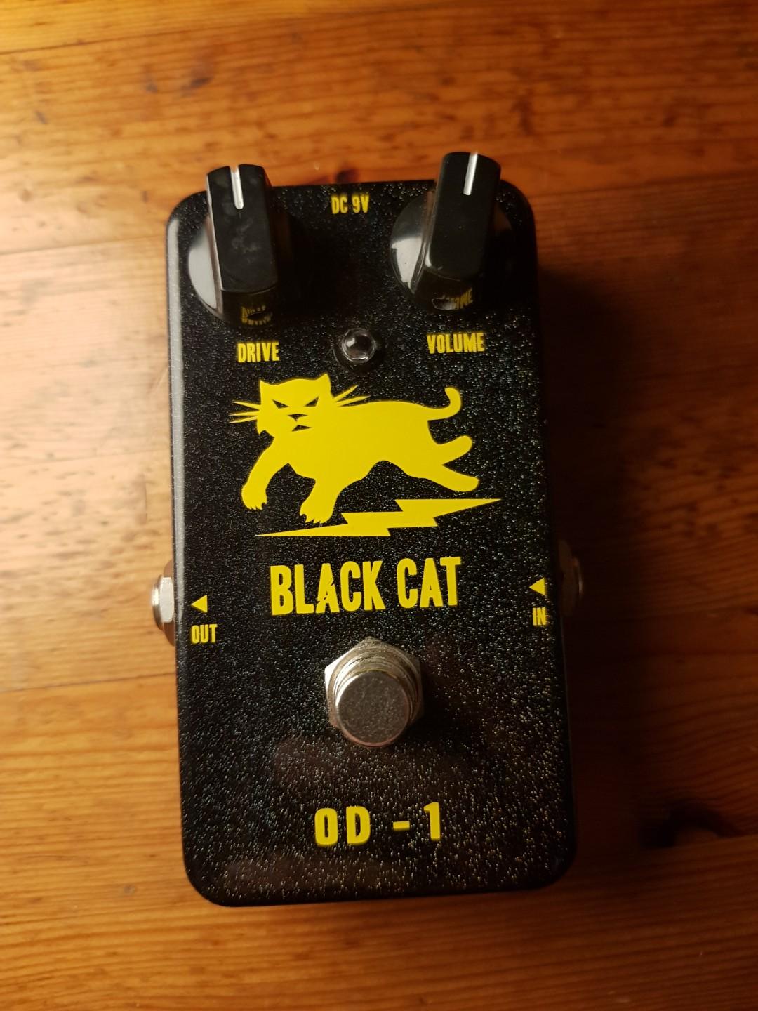 BLACK CAT PEDALS OD-1 ファズ 【超目玉枠】