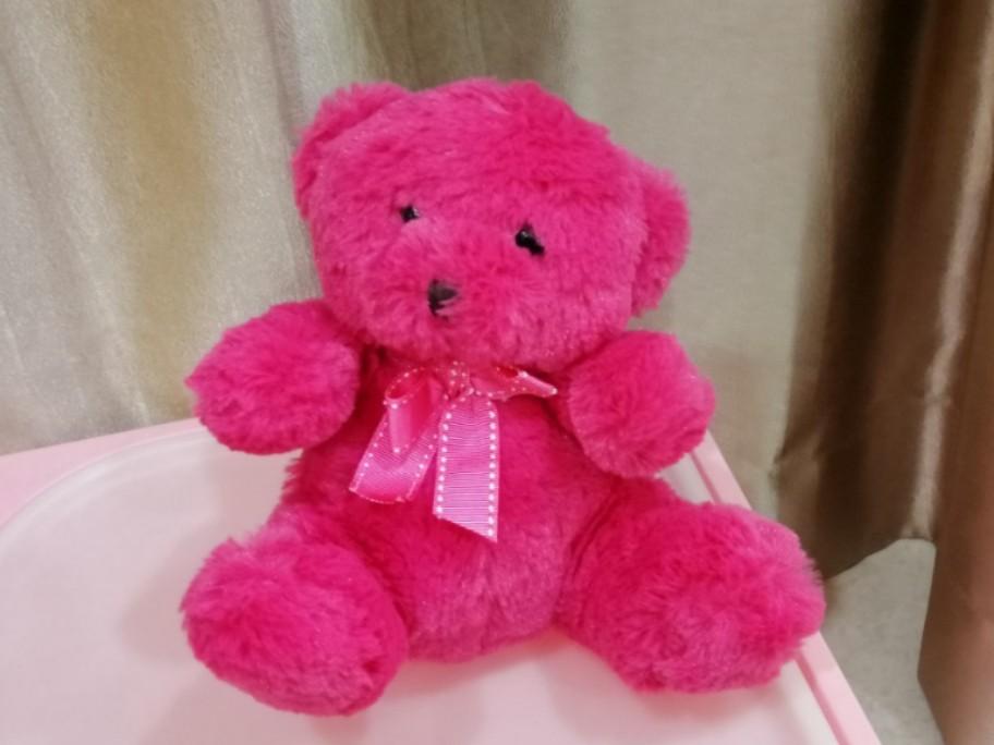 hot pink teddy bear