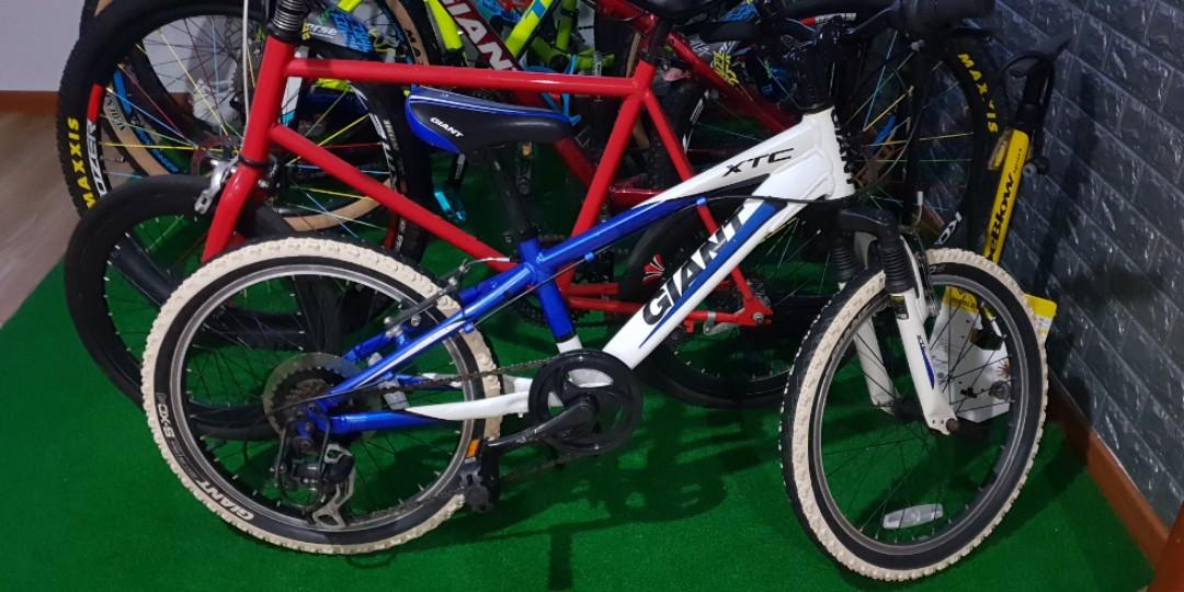 Giant xtc jr 20 2013 shop