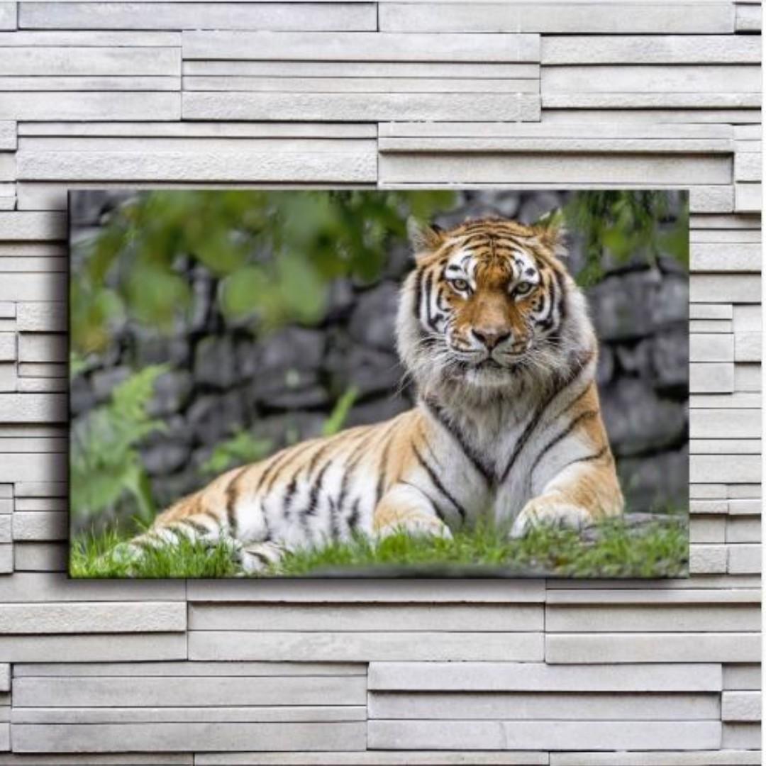 Po Tiger Canvas Wall Art Framed Furniture Home Decor Others On Carousell