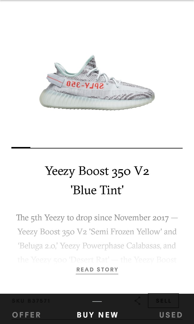 yeezy blue tint laces for sale