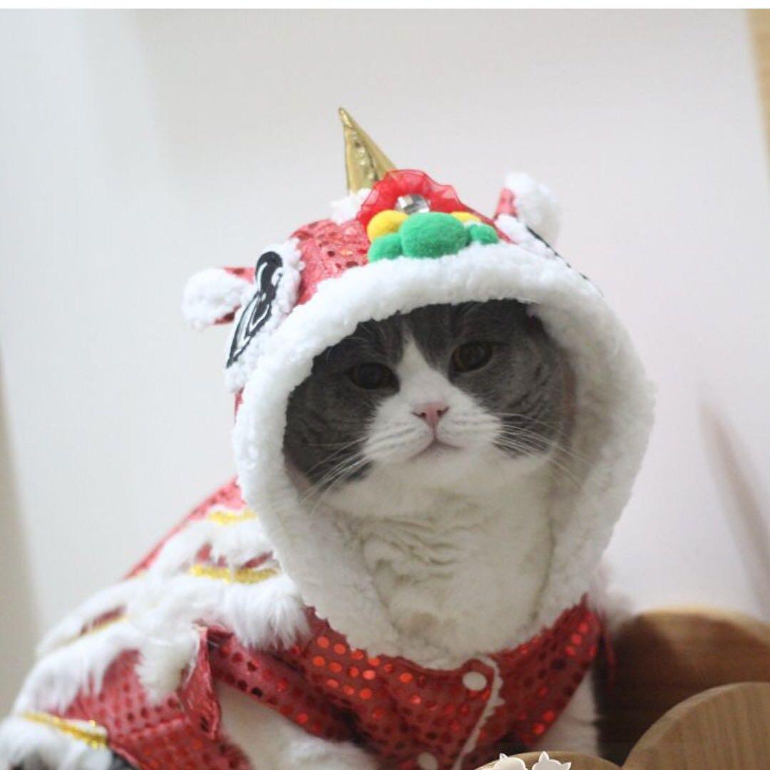 Bn Cutest Cny Chinese New Year Lion Dance Cats Pets Dogs Outfit