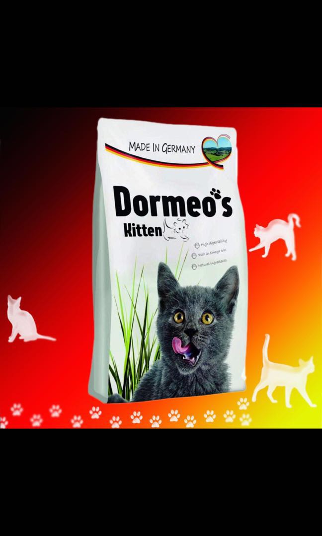 Dormeo kitten sale