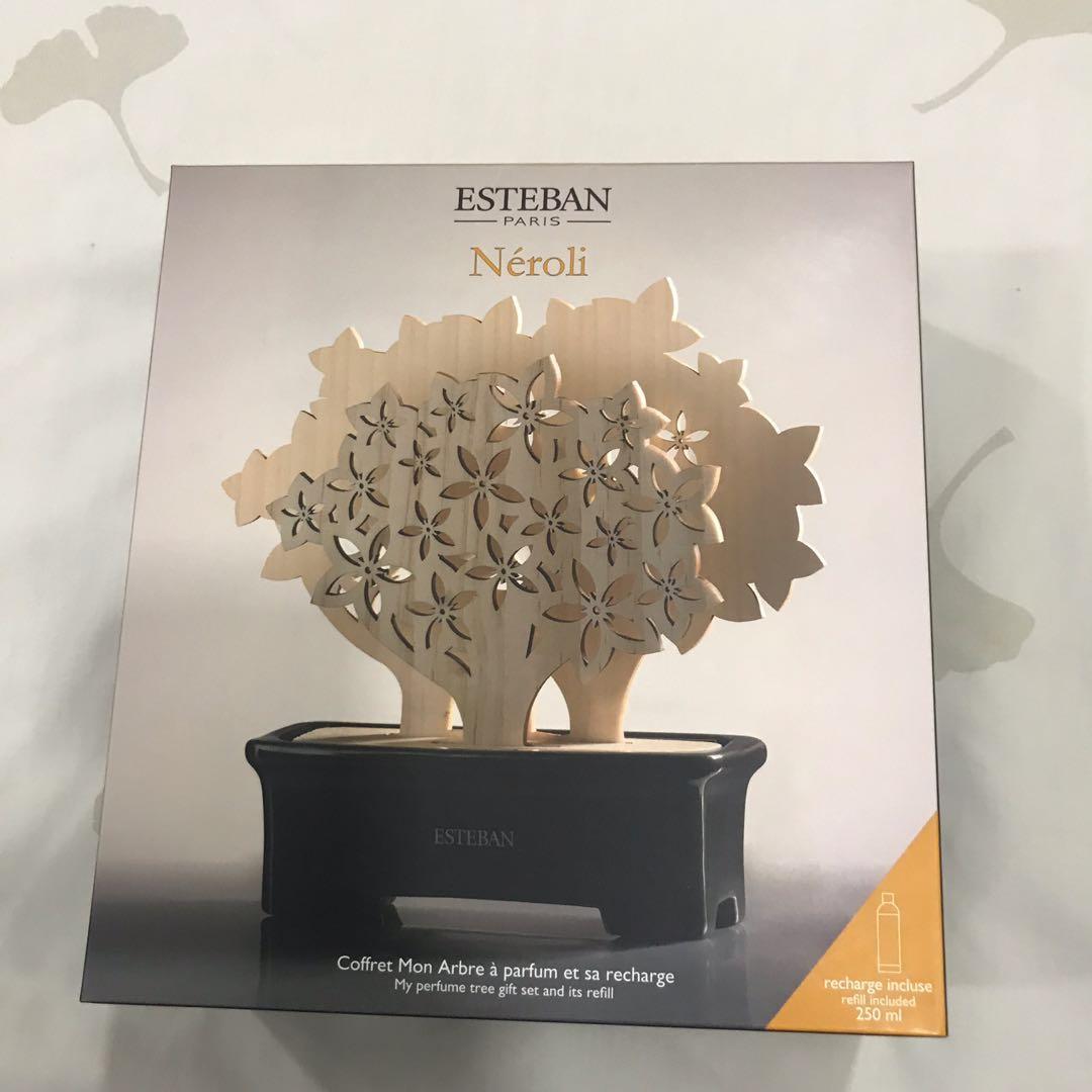 Coffret Cèdre arbre à parfum Esteban