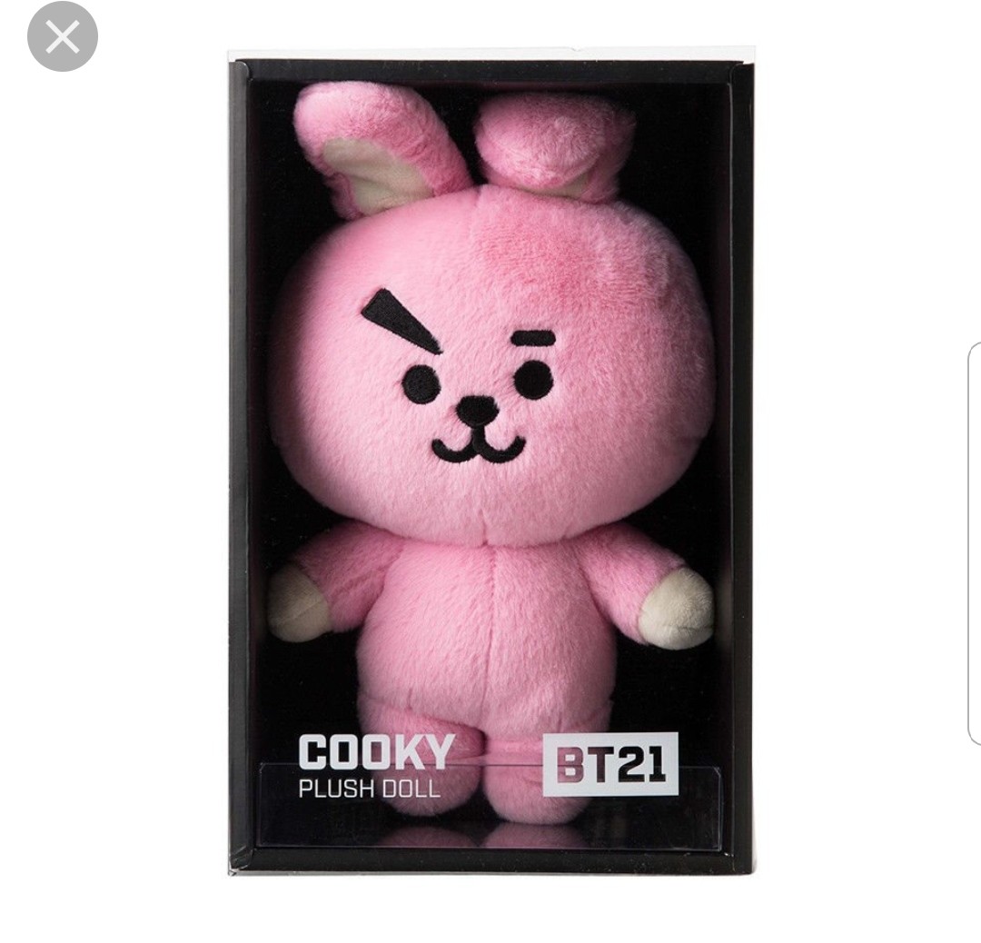 cooky stuffed toy