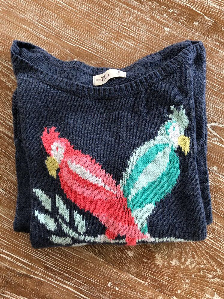 hollister navy jumper