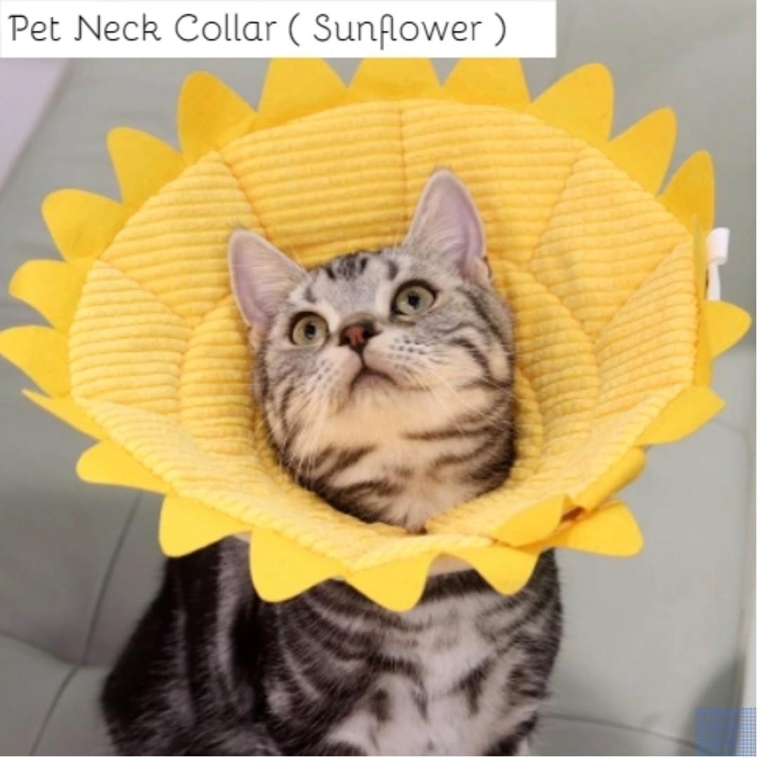Pets Neck Collar Sunflower Pet Supplies For Small Animals Pet Accessories On Carousell