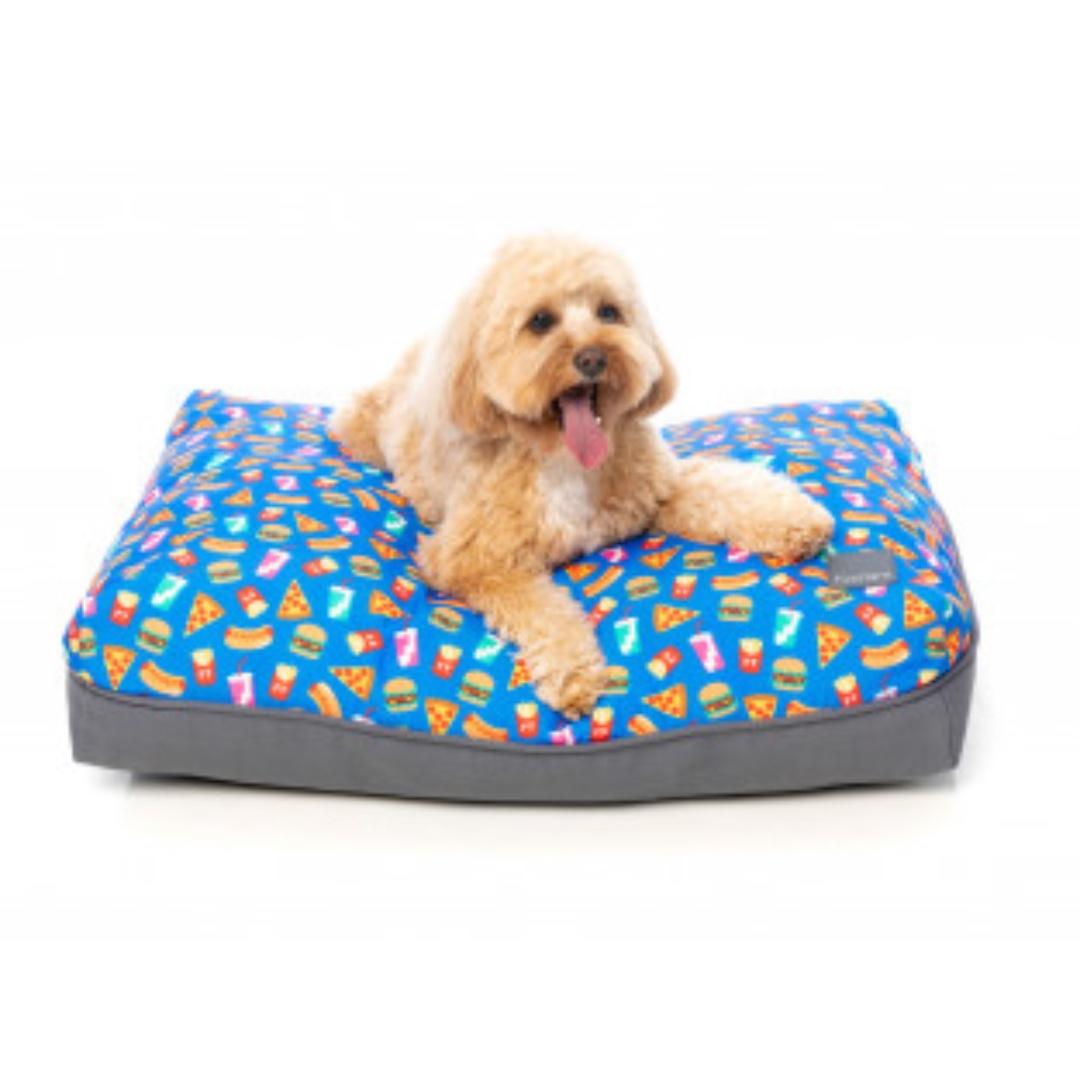 dog accessories over $100