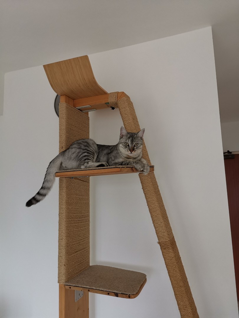 Cat Tree/Tower/Scratching post, Pet Supplies, Homes & Other Pet