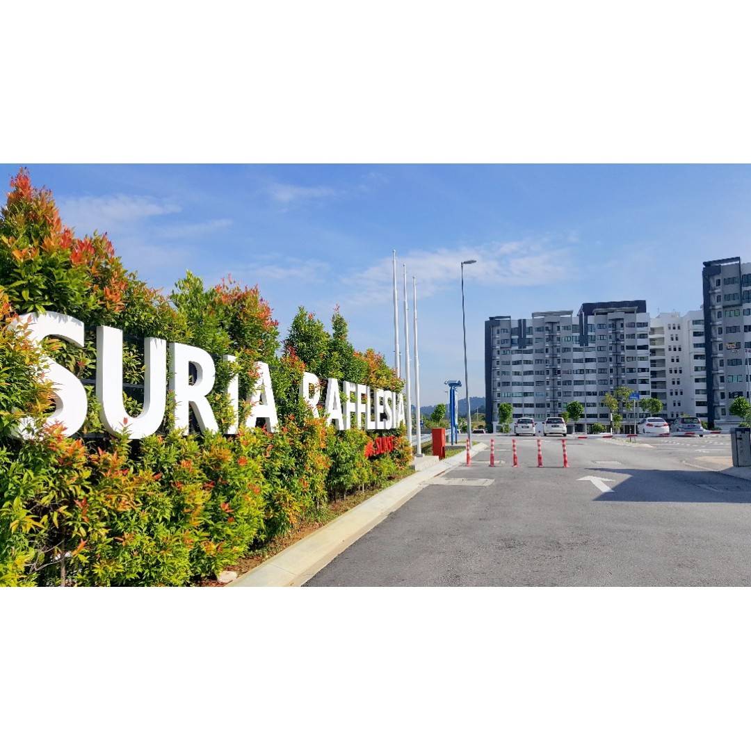 Cheap Suria Rafflesia Setia Alam For Rent Property Rentals On Carousell