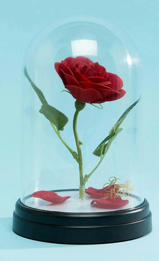 Disney Beauty and The Beast Enchanted Rose Light Furniture Home Living Home Decor Artificial Plants Flowers on Carousell