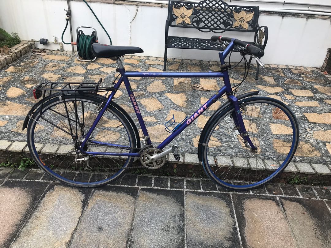 Giant custom 2025 bike