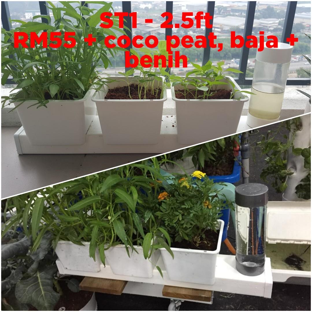 Hidroponik Set Home Furniture Gardening On Carousell