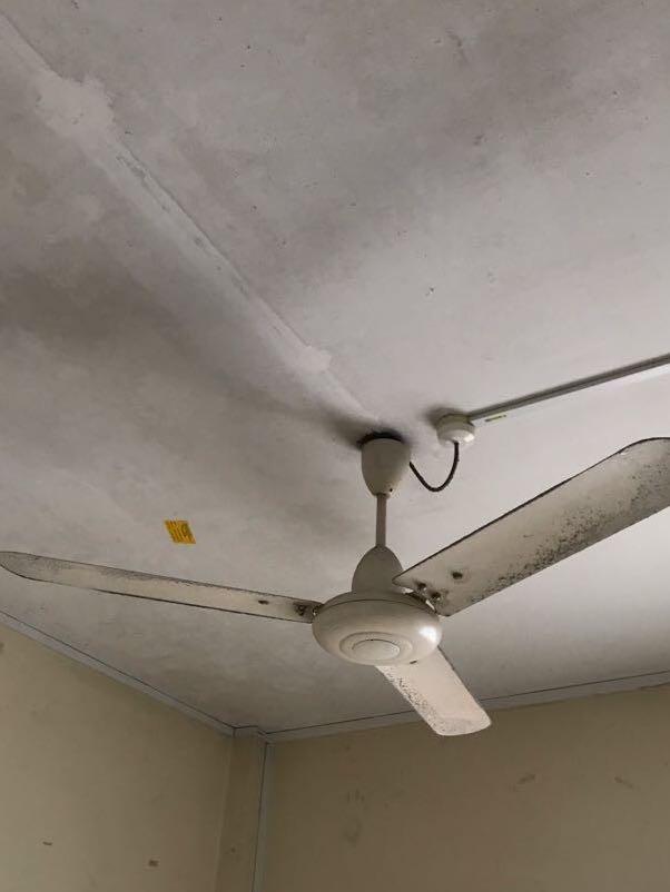 Antique Usha Fan Vintage Collectibles Vintage