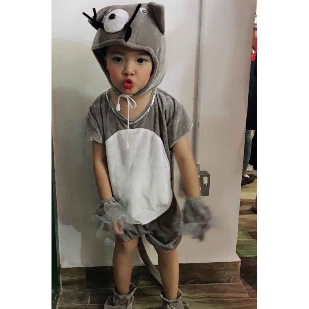 Cat Costume For 4 7 Year Old Children Luxury Apparel Kids On Carousell