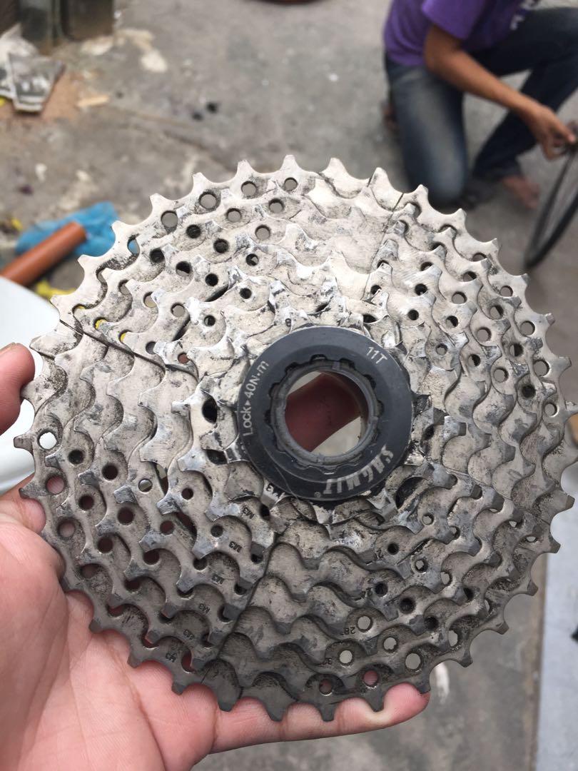 8 speed cogs