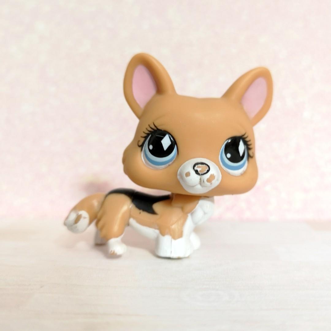 littlest pet shop corgi
