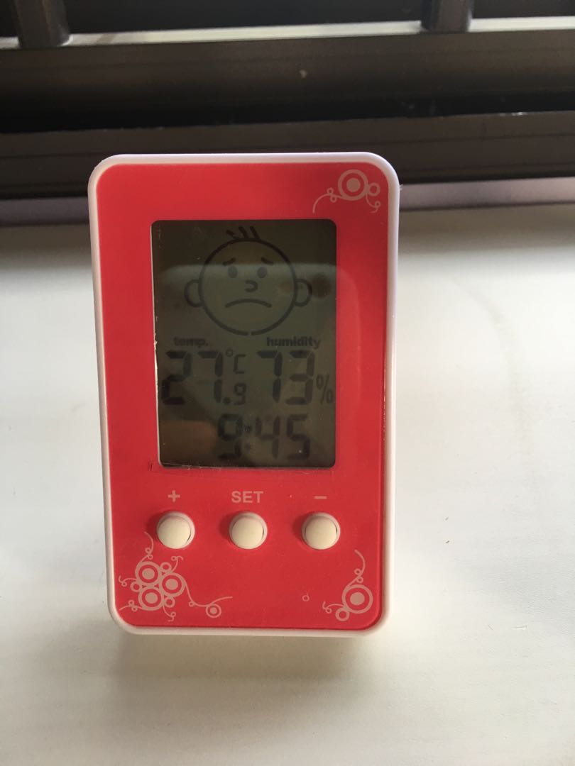 Nursery Room Thermometer