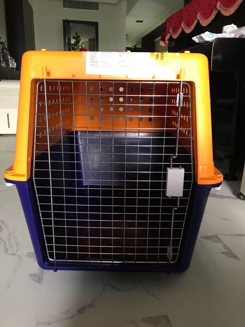 Pet Crate Iata Airline Approved Pp50 Pet Supplies For Dogs Dog Accessories On Carousell