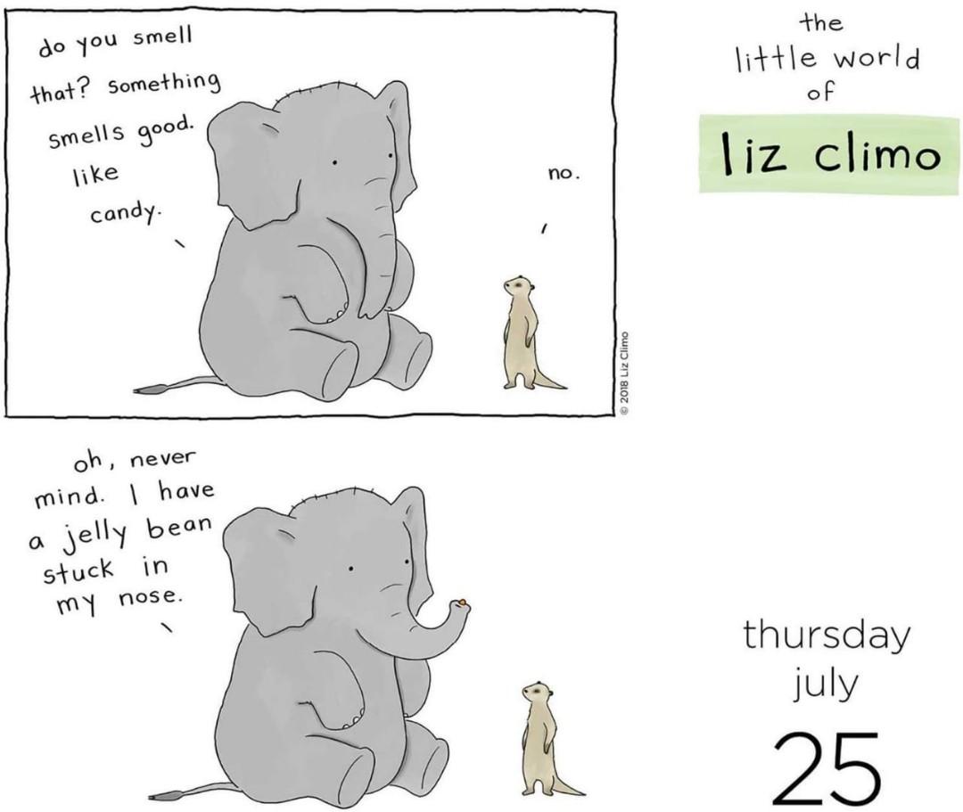 liz-climo-2024-calendar-calendar-2024