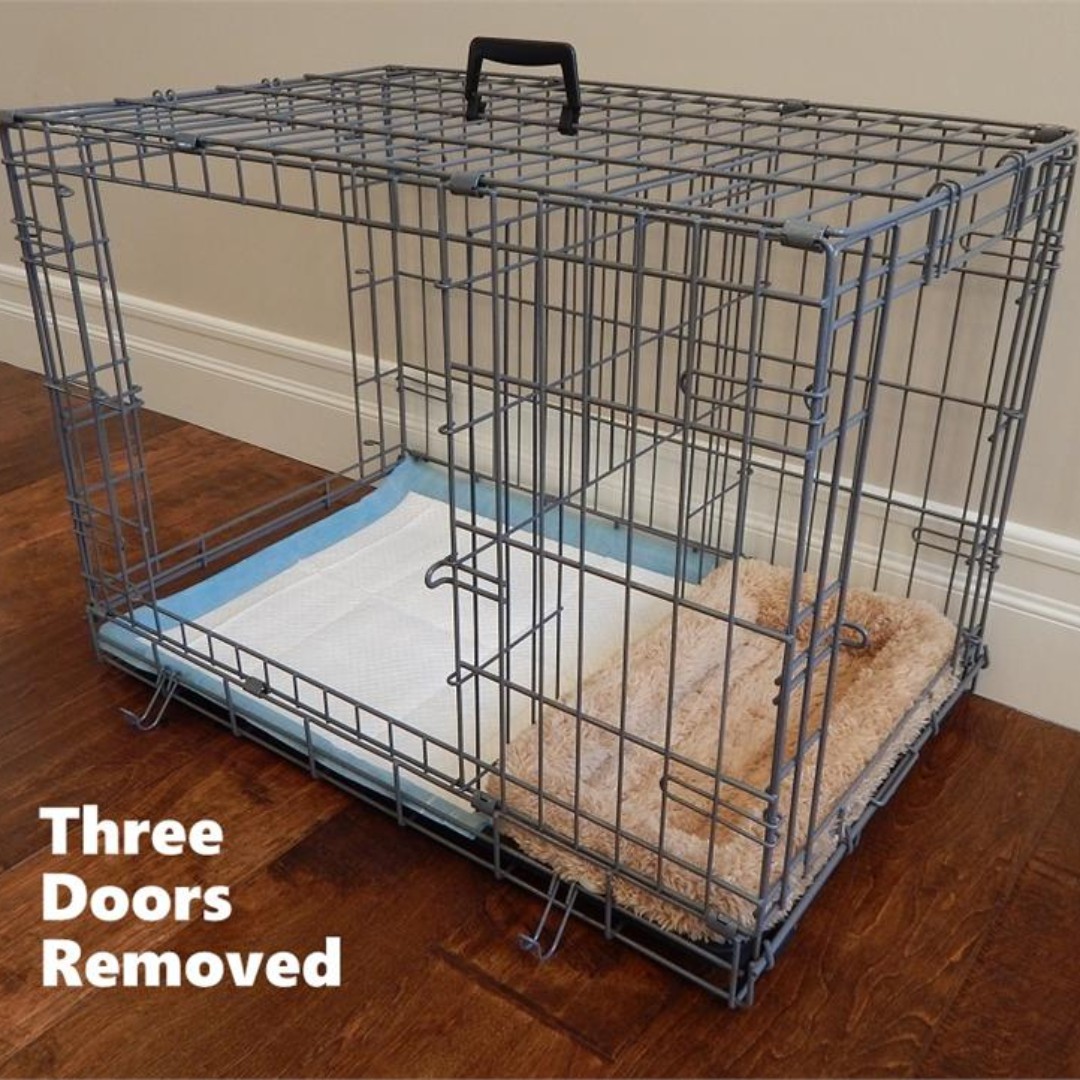 Puppy apartment sale medium