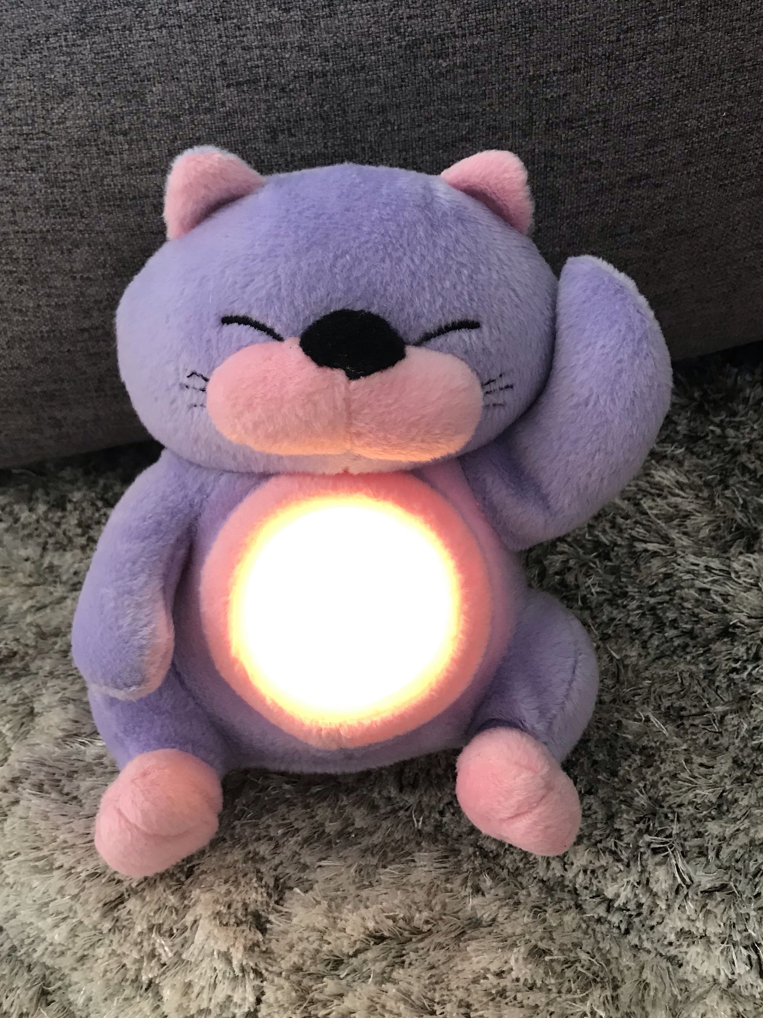 purple cat plush