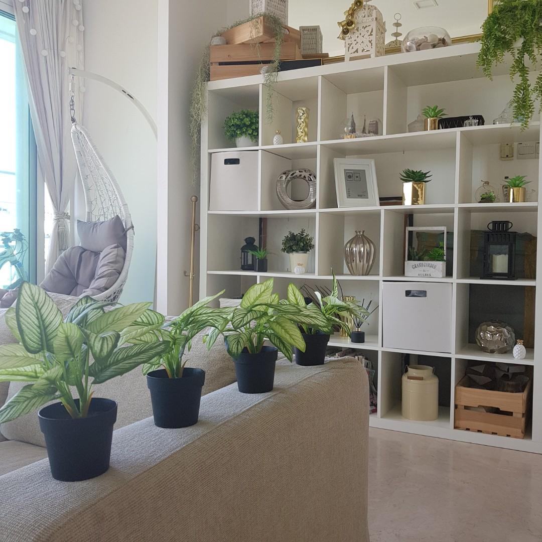 Get Wallpaper Small Artificial Plants Furniture Home Decor Others On Carousell Free HD