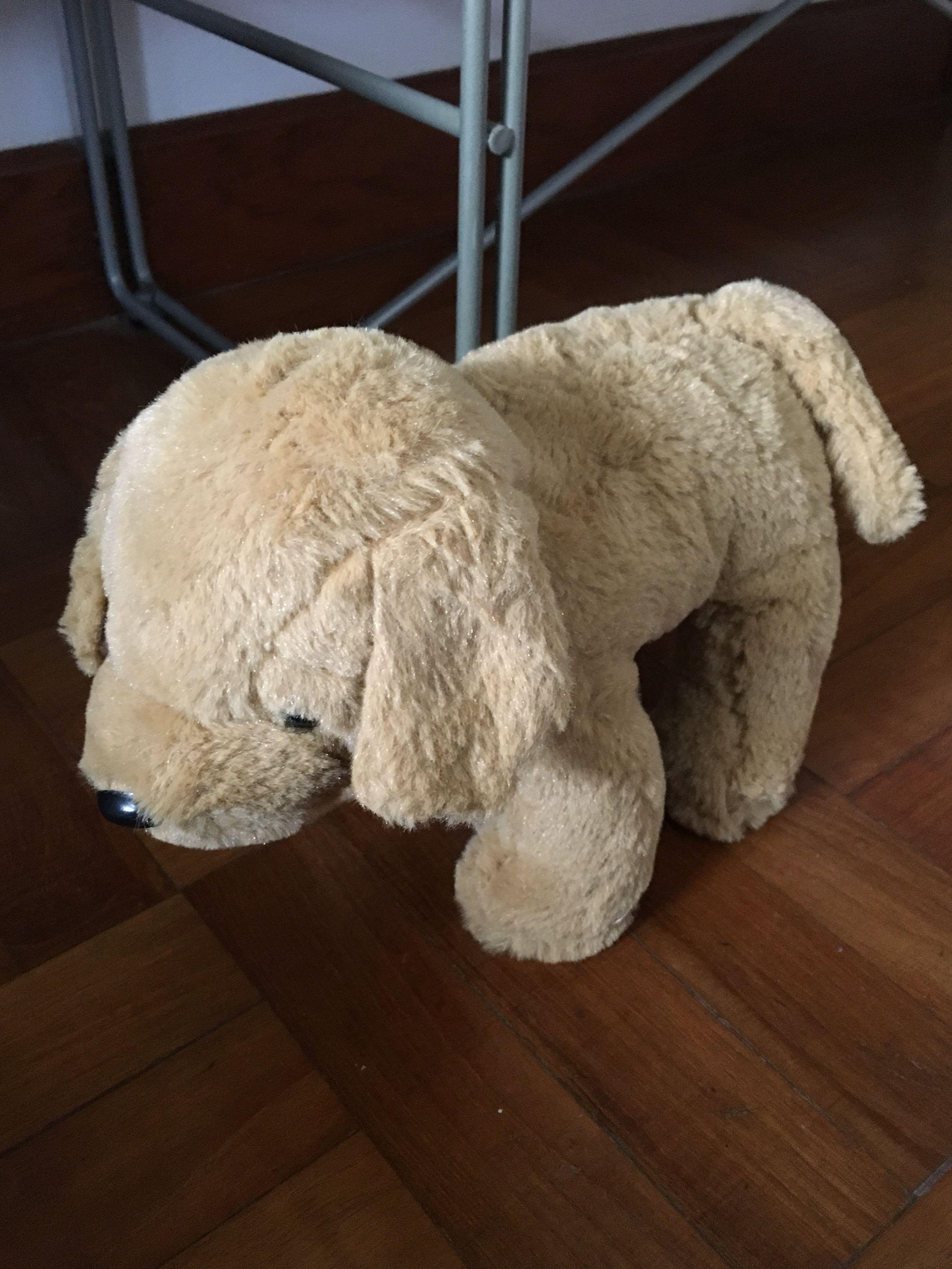 BRAND NEW MINISO LIFE Brown Dog Plush Soft Toy, Hobbies & Toys, Toys