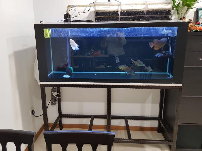 5ft Fish Tank With Stand. Beamworks 5ft 