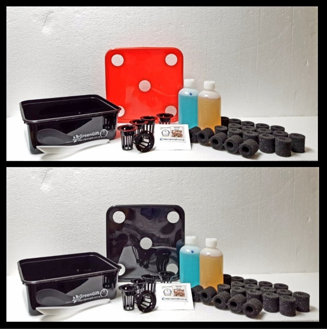 Greengift Hydroponic Starter Kit Gardening Gardening Tools