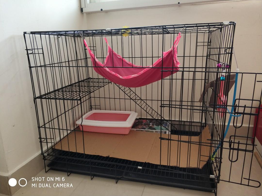 Cat Cage 2 Storey Pet Supplies For Cats Cat Accessories On