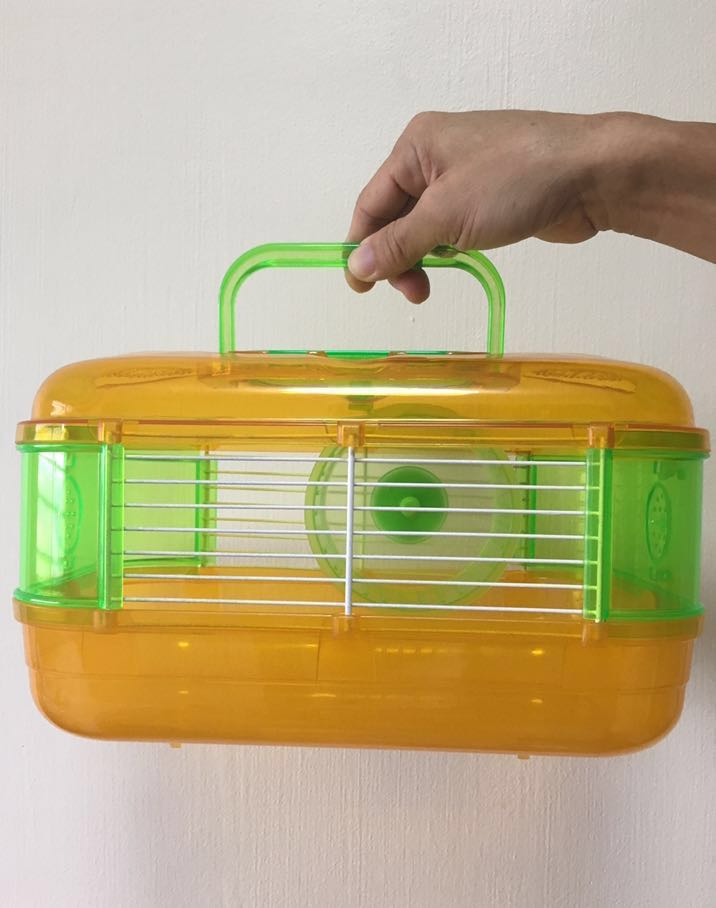 parrot hamster wheel