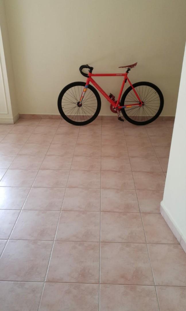 tsunami steel frame review
