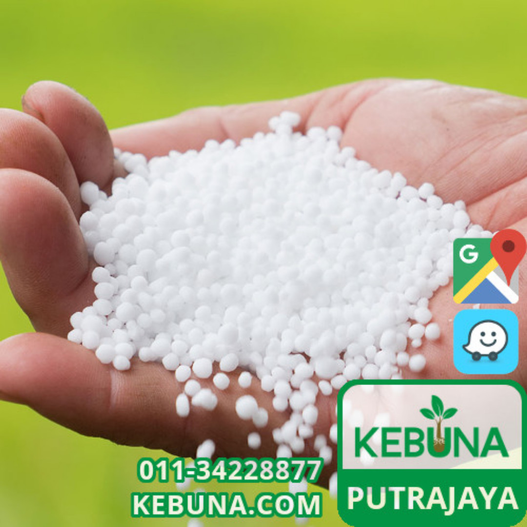Urea Baja Rumput Putrajaya Lawn Grass Fertilizer Fertiliser Home Furniture Gardening On Carousell