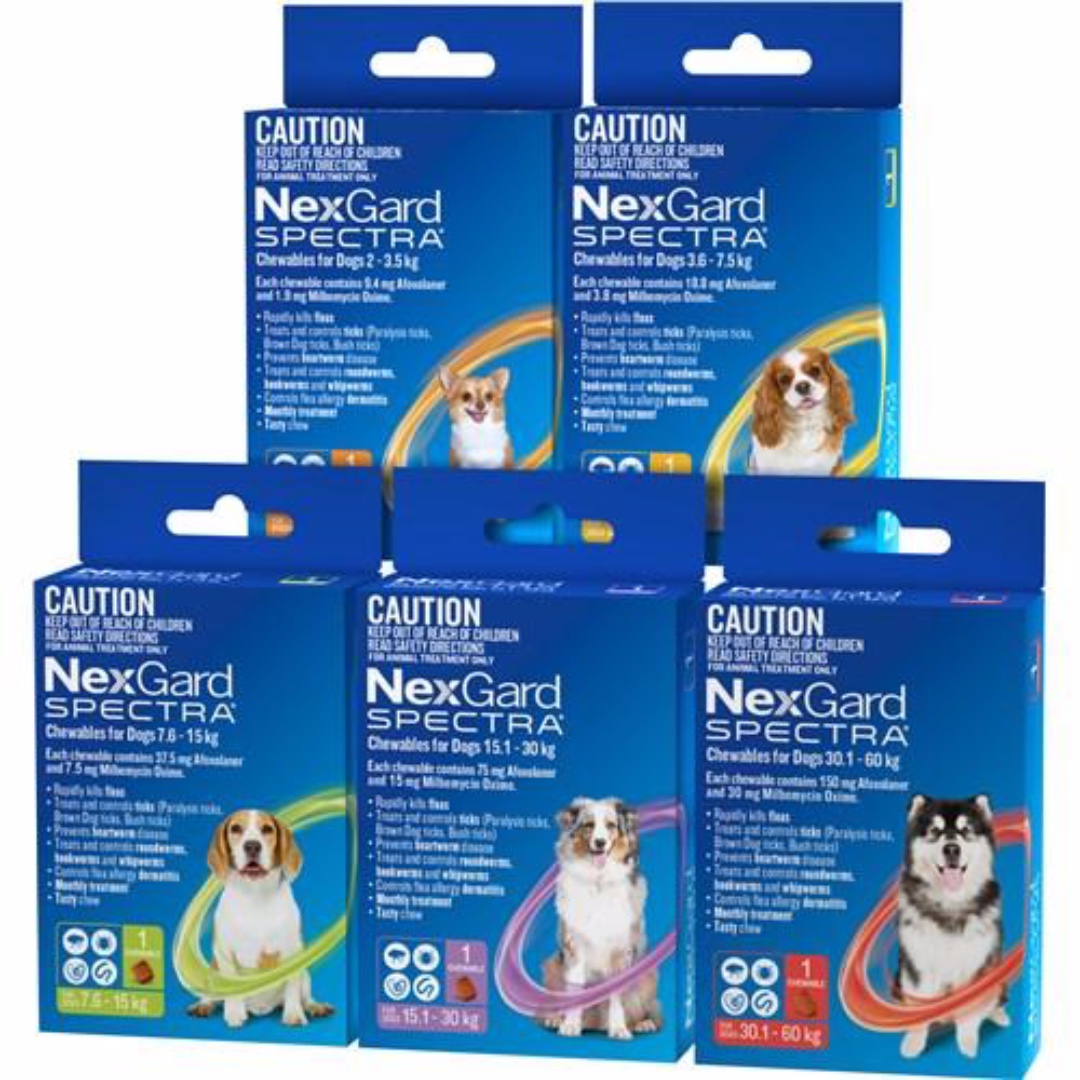 nexgard spectra sizes