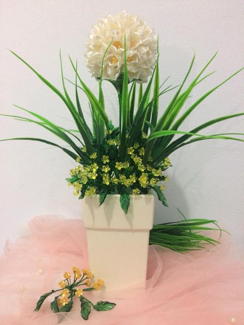 Bunga Desember : Terlaris Bibit Tanaman Hias Bunga Blood ...