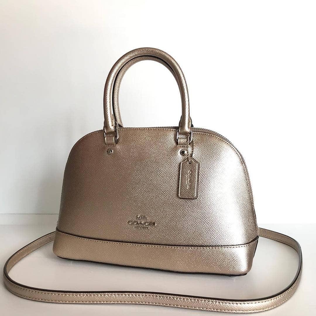 Coach mini sierra platinum clearance