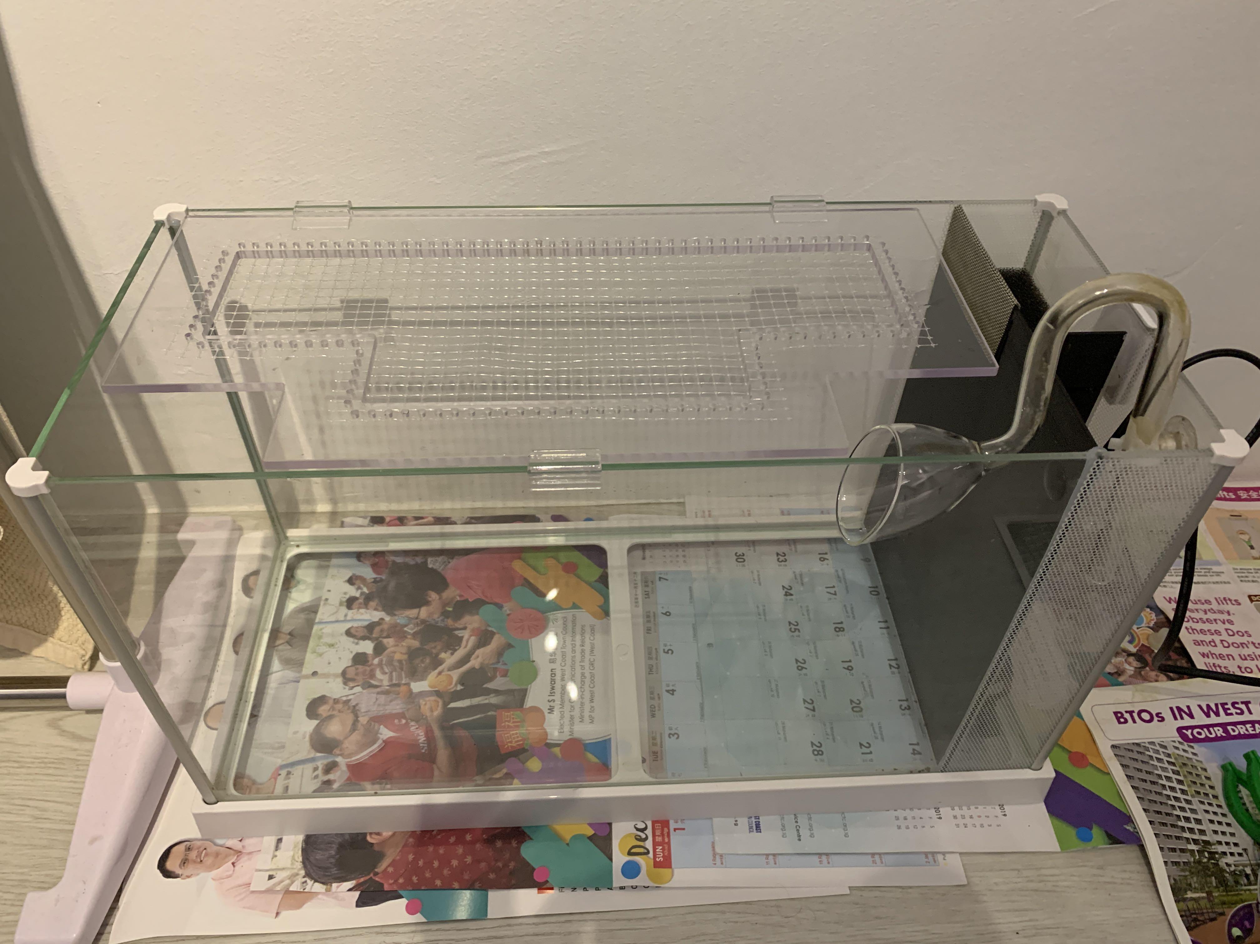 Decomm IOS Nano tank (bigger than Fluval spec V), Pet Supplies, Homes ...