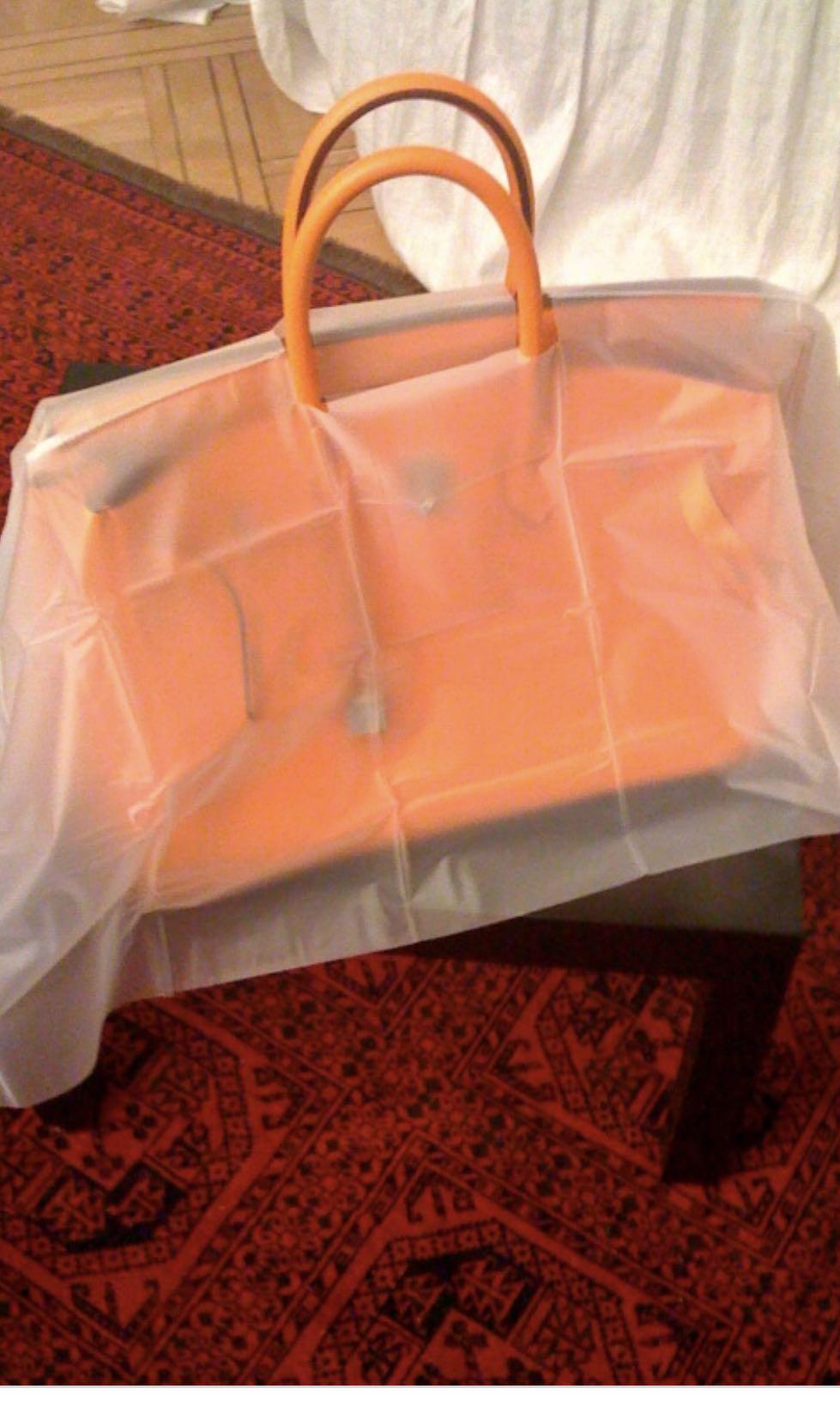 Hermes Bag Raincoat
