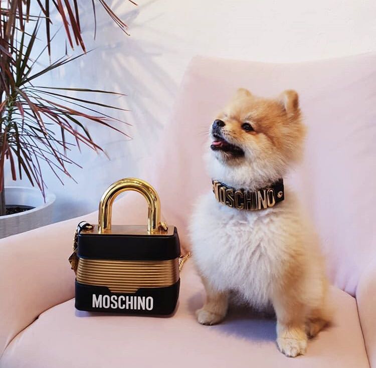 H&m moschino bag online